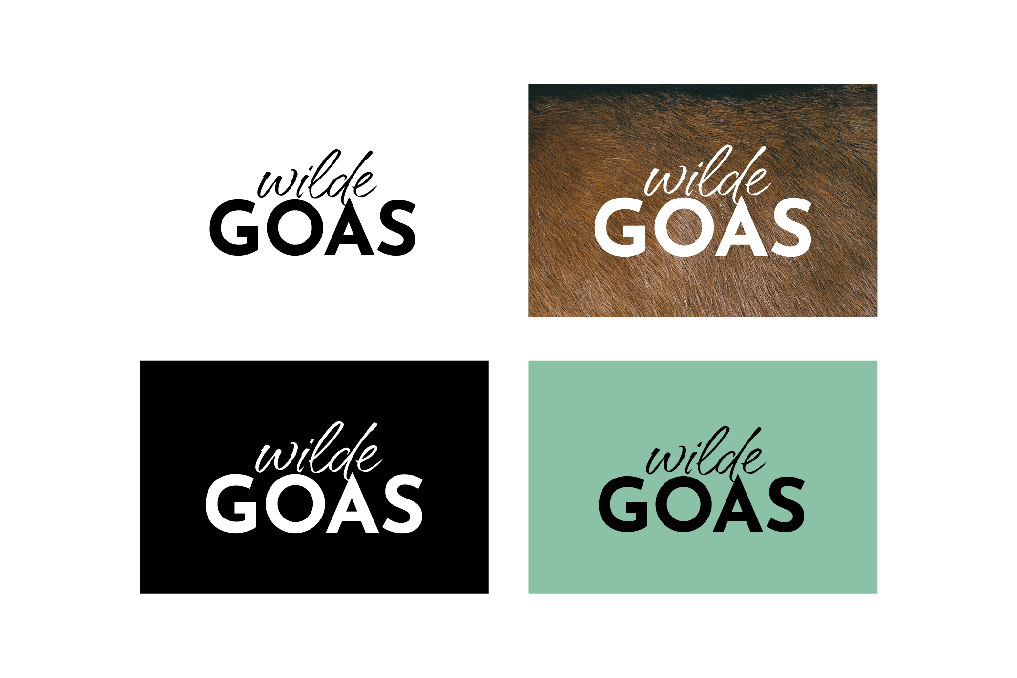 Logo Design For Wilde GOAS By Corliss. The Logo Is Tested On Different Kinds Of Backgrounds To Make Sure It Works No Matter What Background