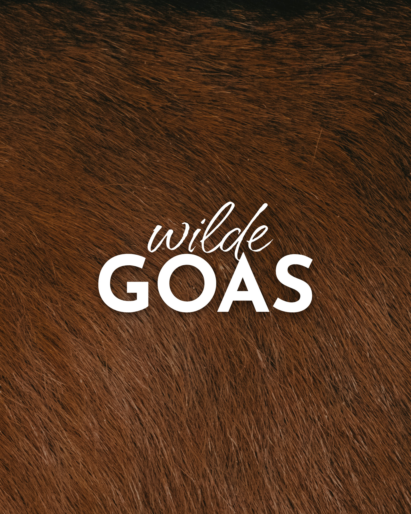 Wordmarke Logo von Wilde GOAS platziert auf einem Ziegenfell | Logo by Corliss Design - Stefanie Schafzahl
